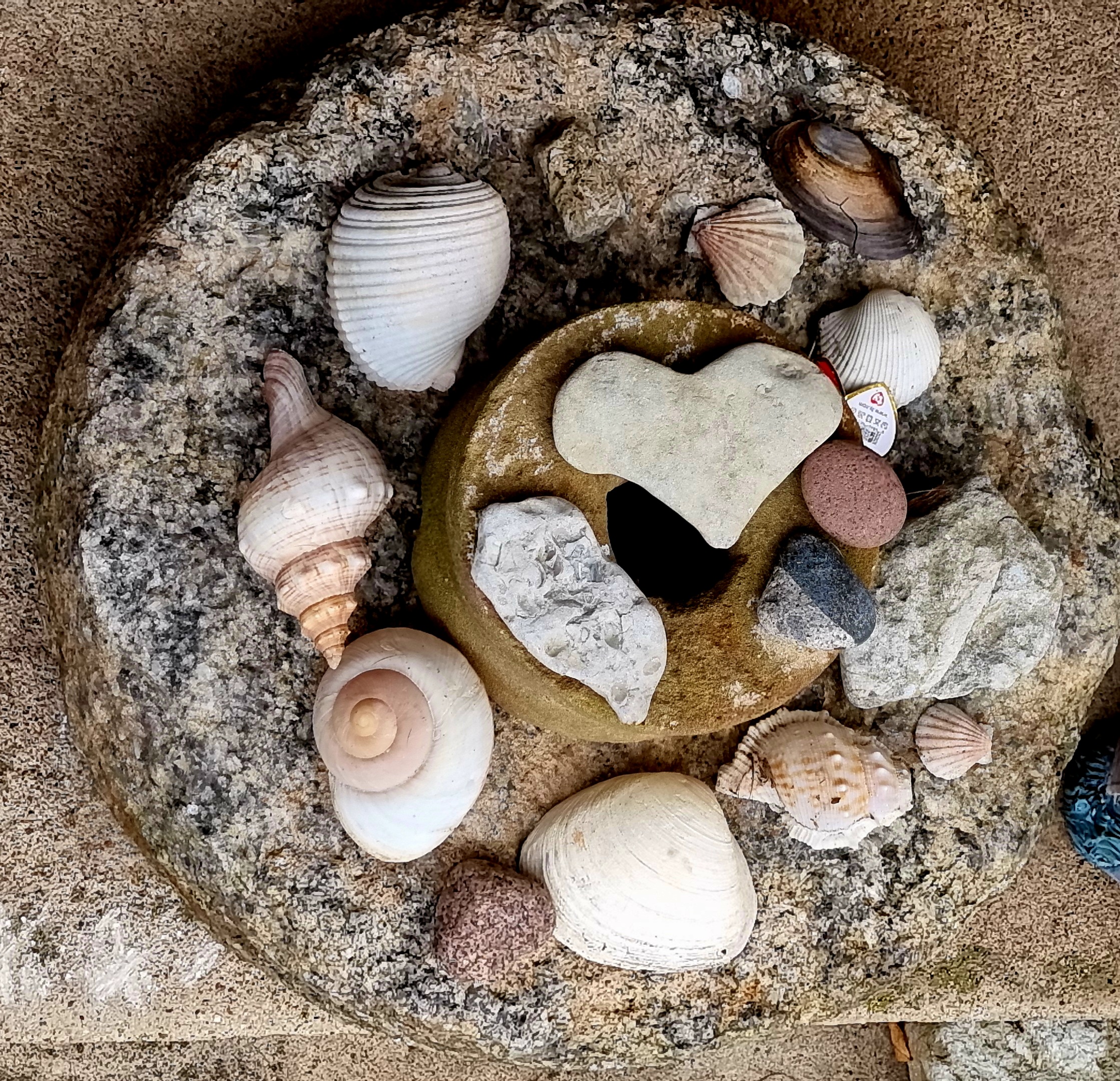 Junga pāru terapija